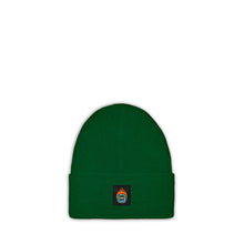 Load image into Gallery viewer, Globe Logo Insulated Beanie &lt;br&gt;&lt;i&gt;Green&lt;/i&gt;