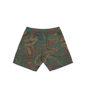 Paisley Swim Shorts <br><i>Color</i>
